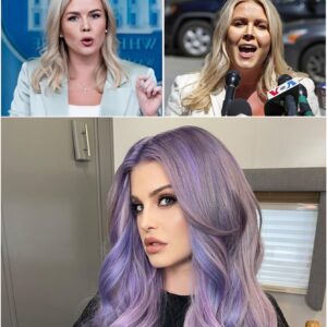 Kelly Osbourne’s Stunning Comeback: The Twelve Words That Silenced Her Critic nh