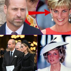 “A DIANA MOMENT” – Prince William’s Touching Gesture With Elderly Lady Sparks Memories of His Mother 💐👑