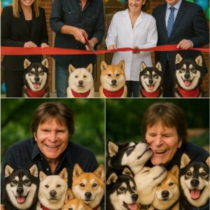 BREAKING: John Fogerty Donates $20 Million to Build Sanctuary for Abandoned Dogs nn