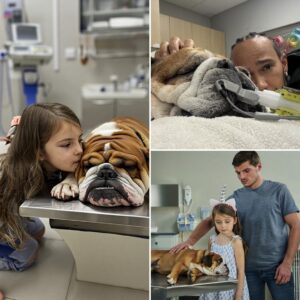 Max Verstappen stunned the entire F1 community by unexpectedly showing up at the veterinary hospital, leading his daughter Penelope into the room where Roscoe was being cared for...