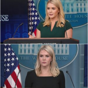 BREAKING: Karoline Leavitt announces her departure from the White House press secretary position and says goodbye to the United States