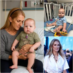 Céline Dion’s $50,000 Gift: A Legendary Voice Brings Hope to the “Bravest Little Bear” 🐻✨ - H