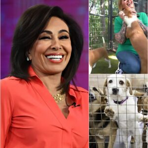 Jeanine Pirro Launches $5 Million “Star Haven” Sanctuary for Stray Dogs: A Victory for Compassion. ws