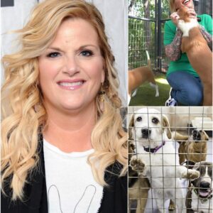 Trisha Yearwood’s Star Haven: A Sanctuary of Hope for Stray Dogs nh