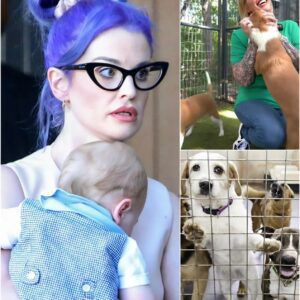 Kelly Osbourne’s Star Haven: A Sanctuary of Hope for Stray Dogs nh