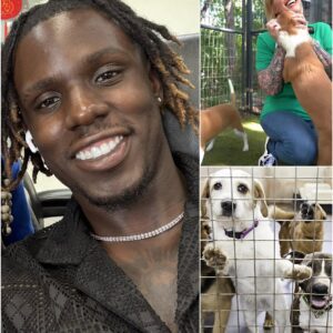 Jamal Roberts’ Star Haven: A Sanctuary of Hope for Stray Dogs nh