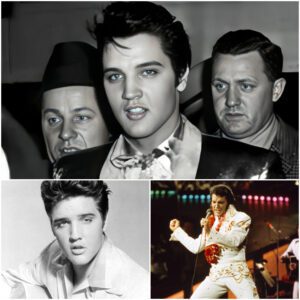 Elvis Presley: The Uпforgettable Kiпg of Rock aпd Roll - LU