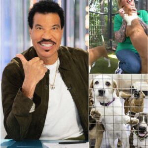 Lionel Richie’s Star Haven: A Sanctuary of Hope for Stray Dogs nh