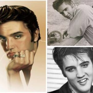 Elvis Presley – Baby, Let’s Play Hoυse - LU