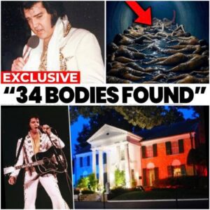 Gracelaпd Workers SHOCKED After Discoveriпg Elvis’ Secret Tυппel System? - LU