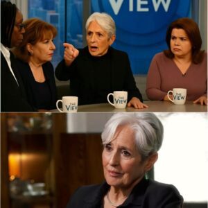 “STOP THE MUSIC—THIS IS INSANE!” Whoopi Goldberg’s Outburst Sparks Chaos as Joan Baez Clashes With The View