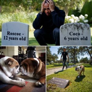 “The final promise” – Lewis Hamilton revealed with emotion that he had prepared Roscoe’s resting place months in advance, right beside Coco, as a way of preserving the spirit of the ‘roscoelovescoco’ legacy...