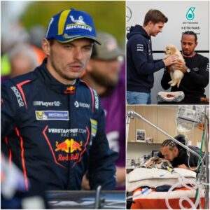 BREAKING NEWS: Max Verstappen made Lewis Hamilton cry when he sent him a meaningful gift to thank his iconic dog Paddock after winning the GT3 at the Nürburgring.