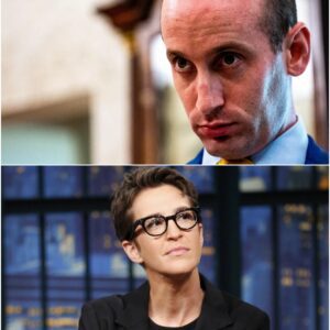 BREAKING NEWS: Rachel Maddow unleashed a brut@l on-air takedown of Stephen Miller after a bombshell scandal involving his wife erupted. With icy precision, she snapped, “You want to talk morals, Stephen?”