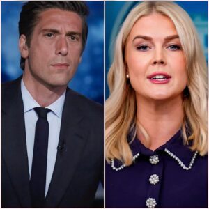 MEDIA EARTHQUAKE: David Muir Fires Back After Karoline Leavitt Mocks His Super Bowl Role