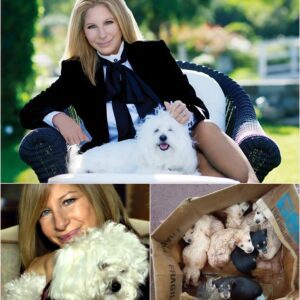 BREAKING NEWS: Barbra Streisand’s $10 Million Sanctuary for Stray Animals Melts Hearts Worldwide. ws