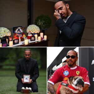 Lewis Hamilton Tearfully Reveals Plans to Bury Beloved Dog Roscoe in His Native England