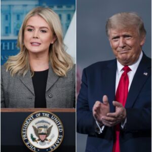 💥 MESSAGE FROM KAROLINE LEAVITT 💥 The radical Left wants you to believe their lies. They fight for illegal immigrants, open borders