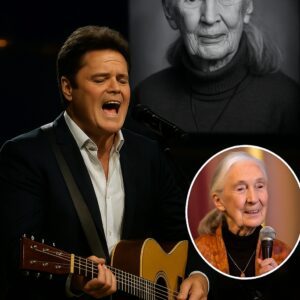 BREAKING NEWS: Donny Osmond Moves Nation With Emotional Hymn Honoring Jane Goodall