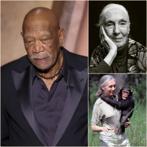 “WHEN JANE GOODALL DIED, WE DIDN’T JUST LOSE A WOMAN — WE LOST THE LAST DEFENSE AGAINST HUMANITY’S OWN MONSTERS.” - MF