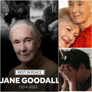 Breaking News: YUNGBLUD Shattered by Loss of Jane Goodall โ Reveals Heartfelt Final Messages from His Grandmotherโs Best Friend Before Her Passing at 91