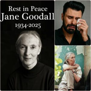 Rylan Clark broke down in tears sharing Dr. Jane Goodall’s final words: “Never lose hope. Keep compassion alive for all living beings and for this planet.”Rattan