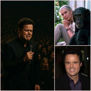 🚨 BREAKING NEWS: Donny Osmond Silences Stadium With Emotional Hymn Honoring Jane Goodall