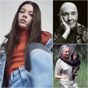 “WHEN JANE GOODALL DIED, WE DIDN’T JUST LOSE A WOMAN — WE LOST THE LAST DEFENSE AGAINST HUMANITY’S OWN MONSTERS.” - CH