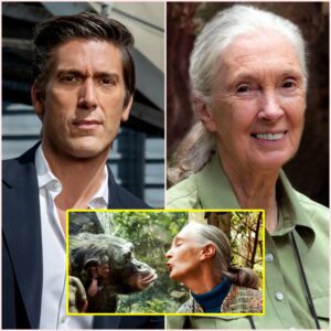 David Muir and Jane Goodall’s Secret Promise — A Chimpanzee, A Whisper, and a Mystery That Still Remains!!!...