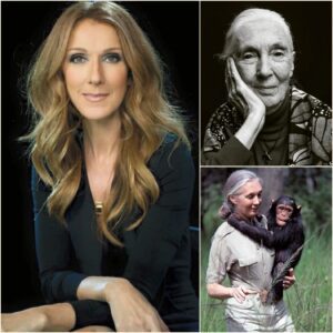 “WHEN JANE GOODALL DIED, WE DIDN’T JUST LOSE A WOMAN — WE LOST THE LAST DEFENSE AGAINST HUMANITY’S OWN MONSTERS.” - CD