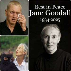 Eminem broke down in tears sharing Dr. Jane Goodall’s final words: “Never lose hope. Keep compassion alive for all living beings and for this planet.”Rattan