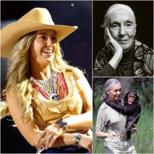 “WHEN JANE GOODALL DIED, WE DIDN’T JUST LOSE A WOMAN — WE LOST THE LAST DEFENSE AGAINST HUMANITY’S OWN MONSTERS.” - LW