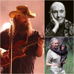 “WHEN JANE GOODALL DIED, WE DIDN’T JUST LOSE A WOMAN — WE LOST THE LAST DEFENSE AGAINST HUMANITY’S OWN MONSTERS.” - CS