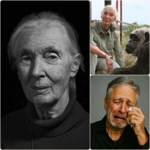 Jon Stewart broke down in tears sharing Dr. Jane Goodall’s final words: “Never lose hope. Keep compassion alive for all living beings and for this planet.”Rattan