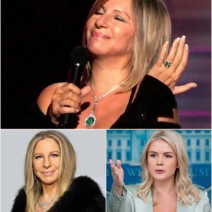 “I Don’t Care What You Think of Me.” — Barbra Streisand’s Eight Words That Shook a Live Studio and the Internet. ws