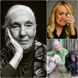 Carrie Underwood broke down in tears sharing Dr. Jane Goodall’s final words: “Never lose hope. Keep compassion alive for all living beings and for this planet.”Rattan