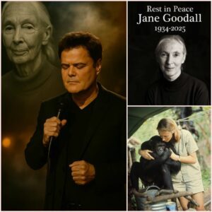 THE FINAL SONG OF FAREWELL: Donny Osmond Honors Jane Goodall With Emotional Tribute After Her Passing at 91