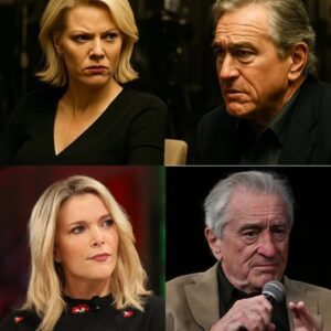“I DON’T CARE WHAT YOU THINK ABOUT ME.” With just eight words, Megyn Kelly left Robert De Niro petrified on live TV.