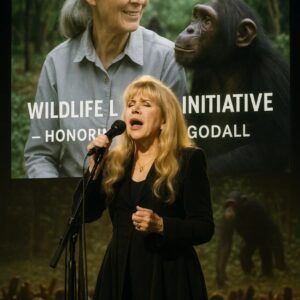 Stevie Nicks Honors Jane Goodall with Inspiring Wildlife Initiative_cz