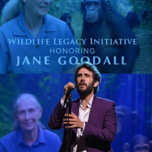 Josh Groban Honors Jane Goodall with Inspiring Wildlife Initiative_cz