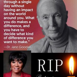A Legend Honors a Legend: Patti LaBelle Pays Emotional Tribute to Dr. Jane Goodall