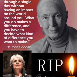 A Legend Honors a Legend: Joan Baez Pays Emotional Tribute to Dr. Jane Goodall