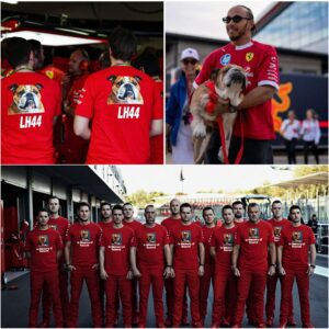 In a Rare Moment Beyond Fierce Competition, Ferrari Team Moves F1 Fans by Wearing T-Shirts Honoring Lewis Hamilton’s Late Dog Roscoe