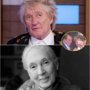 ๐ฉถSAD NEWS : Rod Stewart Expresses Heartfelt Condolences, Mourns the Sudden Passing of Dr. Jane Goodall: "A Legend is Gone, the World Will Never Be the Same"