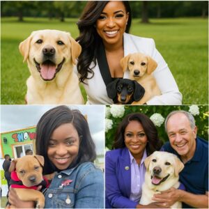 BREAKING NEWS: Jasmine Crockett ignites the internet with a heart-melting announcement, revealing plans to invest £10 million into