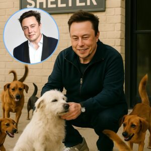 Elon Musk: The Day He Saved 39 Forgotten Dogs