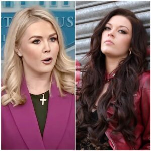 COURTNEY HADWIN FILES $50 MILLION LAWSUIT AFTER SHOCKING LIVE ATTACK DURING TV INTERVIEW nn