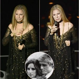 Barbra Streisand Sings “Ships That Don’t Come In” as a Final Farewell to Robert Redford. ws