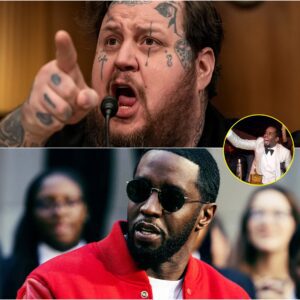 "‘THIS IS NOT JUSTICE – THIS IS AN INSULT!’ – Jelly Roll Speaks Out After Shocking Verdict on Diddy’s Actions.