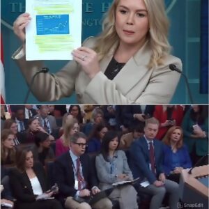 🚨 SCHOOLED: Karoline Leavitt DESTROYS a fake news reporter who tried to deny Democrats are funding healthcare for illegals